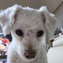 더라온메디칼 이미지