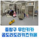 [중랑구 키즈카페] 내돈내산! 2번 방문후기 서울 대관 가능 무인키카 곰도리도리키즈카페 추천