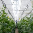 웅포농장 이미지