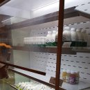 영창목장 이미지