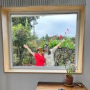 신풍929 | [제주/서귀포]♣제주가족여행/에어비앤비/제주 신풍 929/감귤밭이 있는 독채숙소♣