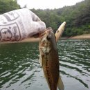 고남저수지 이미지