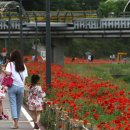 생숯불갈비 이미지