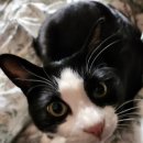 행복팬션 이미지