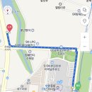 대한꽃도매 이미지