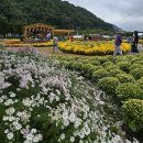 용대관광지2 이미지