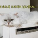 (주)엔퓨텍 네이버블로그