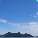 찬호분식
