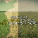 김육불망비 네이버블로그