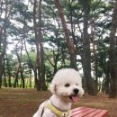 송림쉼터 이미지