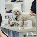 서울준동물병원 이미지