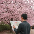 강변늘푸른타운경로당 | 2025 안동 벚꽃축제 주차 정보 및 혼잡 회피 꿀팁 완벽 가이드