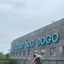 설렘도고 이미지