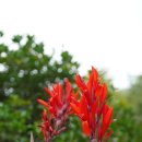 함양미장원 이미지