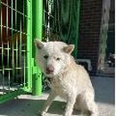 하시동1리 이미지