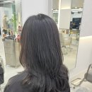 지선미용실 네이버블로그