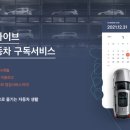 트라이브 이미지