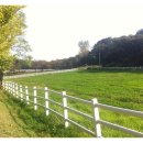 해이목장 이미지