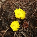 대의면사무소 이미지