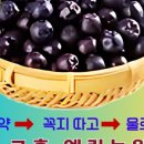 청정건강몰
