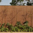 나무와 돌 이미지