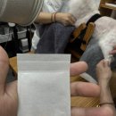 최재호 한방동물병원 | [인천 중구] 강아지 침 치료 사지마비 목디스크 리얼 후기 :: 한양한방동물병원 예약 주차