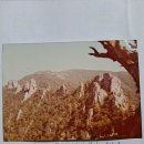 - 45년전 이맘때쯤인 1981년 8월 중순, 설악산(1,708m) 하계 훈련등반계획서와 당시의 등반그림들 몇 컷!/ 집중식 종주등반. 이미지