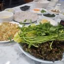 삼천포세꼬시 이미지