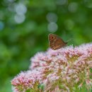 대중부동산 이미지