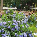 통영등대낚시공원 이미지