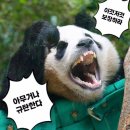 커피보급수혈 이미지
