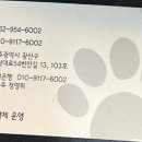 바둑이 애견미용 이미지