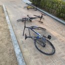 서울시 양천구 목동 오목공원에서의 첫 야외결혼식 준비 과정