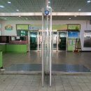 제주서초등학교 이미지