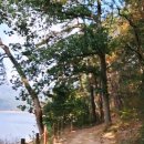 장성댐 | 전남 장성댐 산책로｜딸과 함께한 조용한 가을 산책