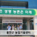 [늦은후기] 홍천 옥수수 가공공장 견학