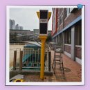 선운초등학교 이미지