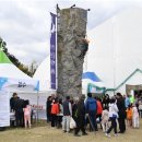 숲을향한시선 이미지