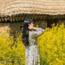 표선리-34 이미지