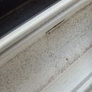 낙성대동-20 이미지