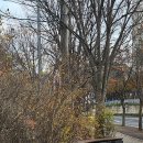 서여고 앞 이미지