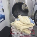 화이트운동화빨래방 이미지