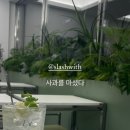 슬래시위드(slashwith) 이미지