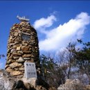 곡성-209 Daum카페