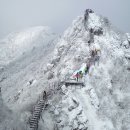 제57차 2월 8일(토) 정기산행_ 산행지 변경됨 이미지