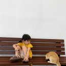 캣플헤븐 AK플라자금정점 | 안양 고양이카페 추천 캣플헤븐 금정점 아이랑 가기 좋은 곳