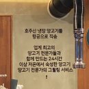 욜로미미사양꼬치냉면