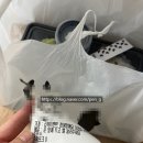[성북] 길음역 육사시미 맛집 광수육회 길음점 내돈내먹 솔직후기