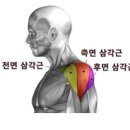 다온PT 이미지