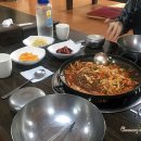 낙지촌 Daum카페